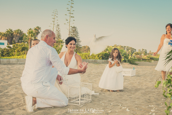 palomas boda