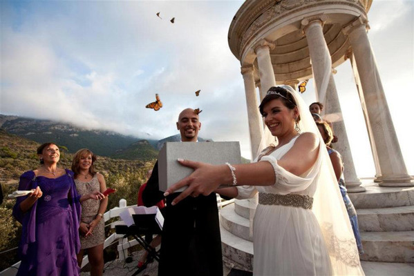 mariposas bodas