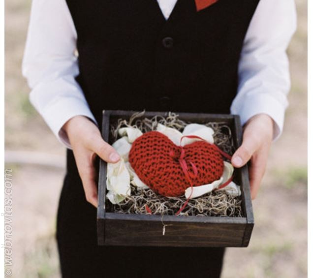 ring bearer alternatives