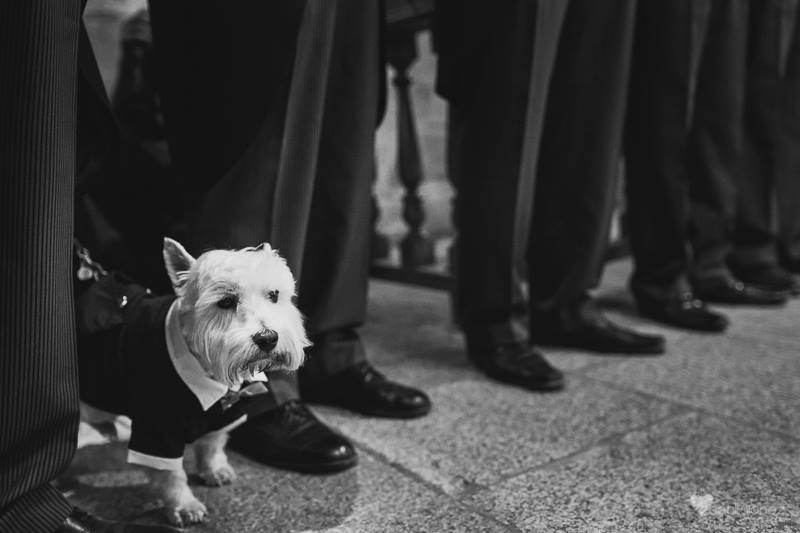 fotos bodas galicia